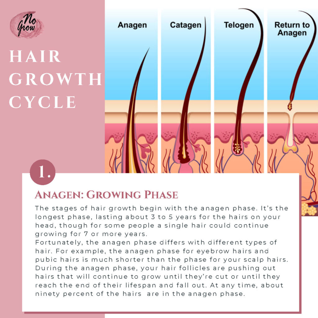 Keeping up with your no grow journey Blog Page4