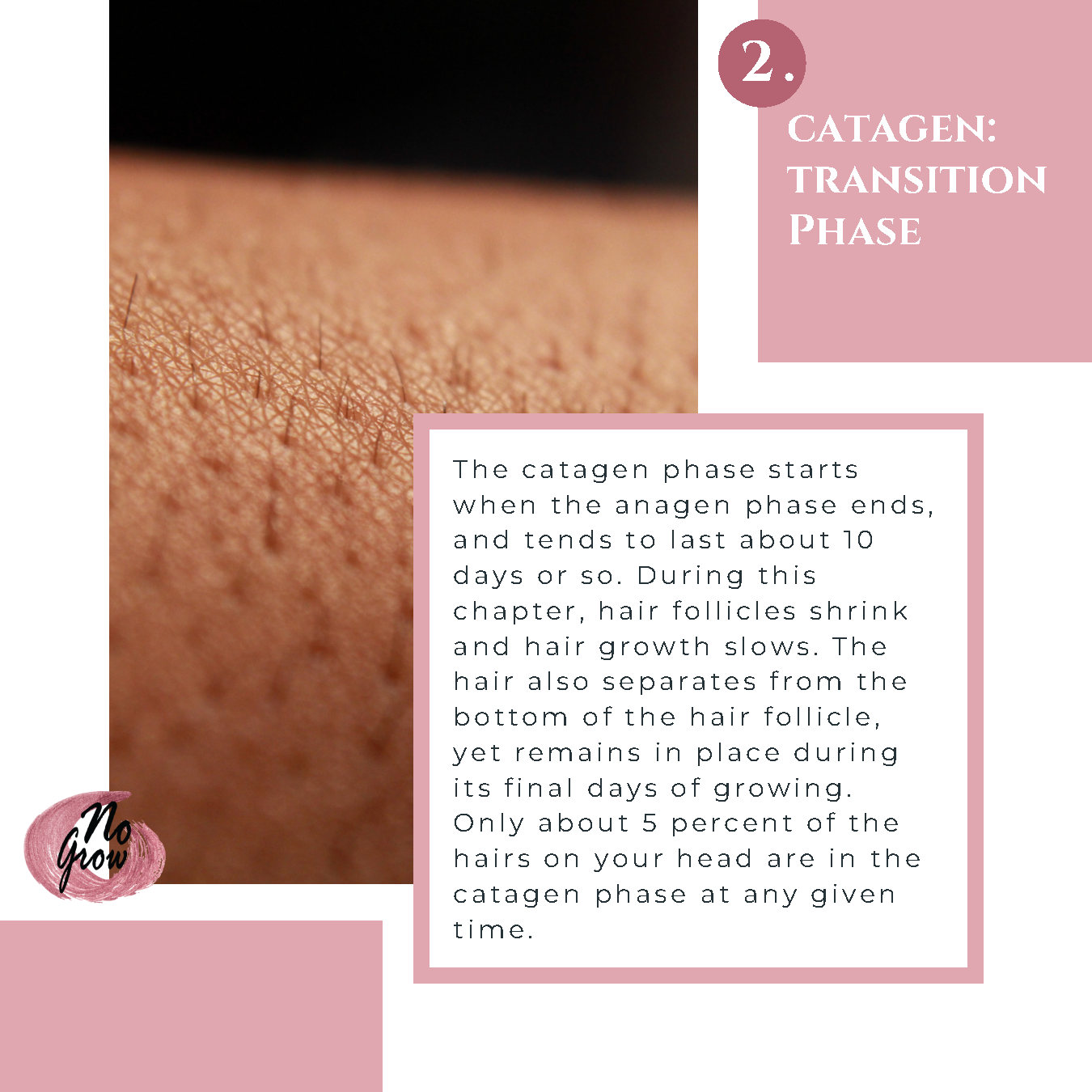 Keeping up with your no grow journey Blog Page5