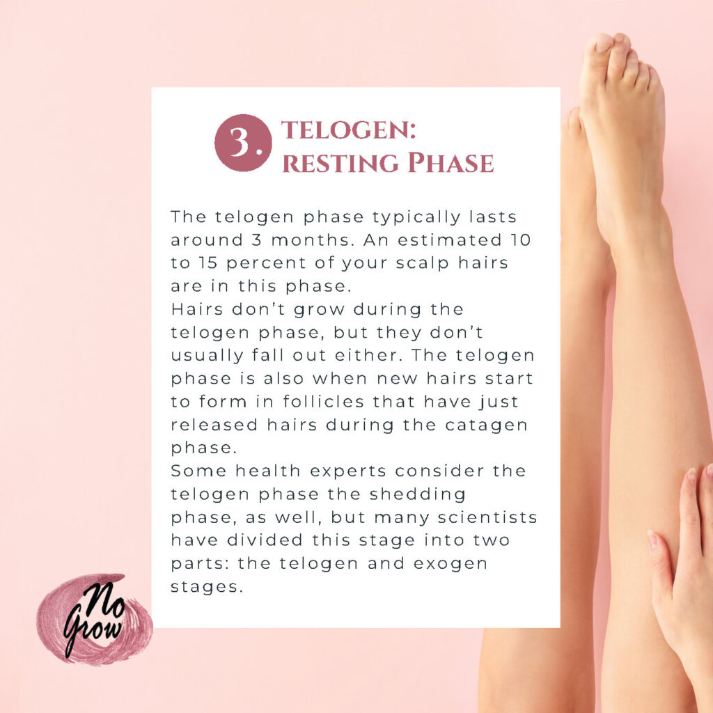 Keeping up with your no grow journey Blog Page6 1