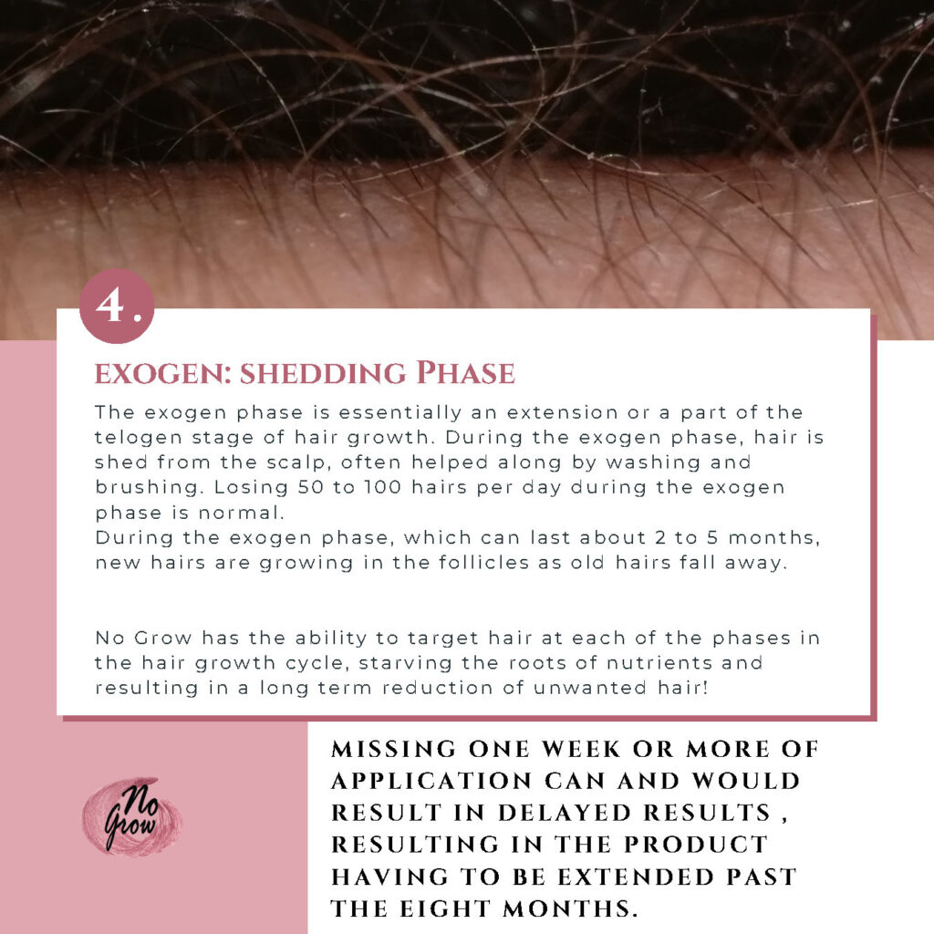 Keeping up with your no grow journey Blog Page7